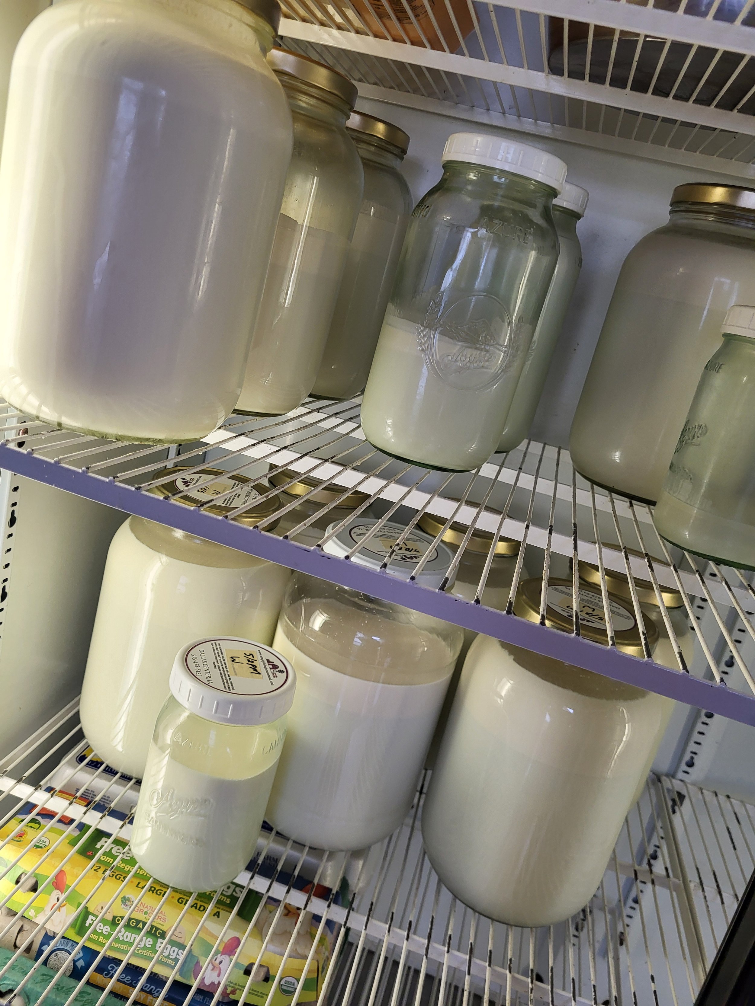 Get Raw Milk! — Simply Living Homestead